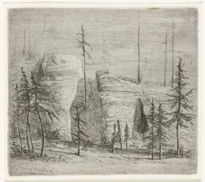 Rotslandschap met naaldbomen, de zogenaamde Teufelkanzel