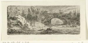 Rotslandschap met natuurlijke brug