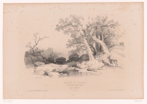 Rotslandschap met water en twee herten