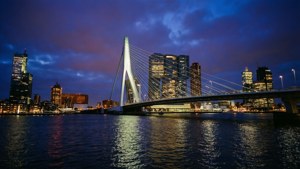 Rotterdam Erasmus Bridge at Night