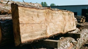 Rough Plank Sign in Lumberyard