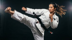 Roundhouse Kick Black Belt