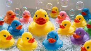 Rubber Duck Bathtub Fun