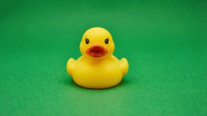 Rubber Duck Green Screen
