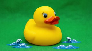Rubber Duck Greenscreen