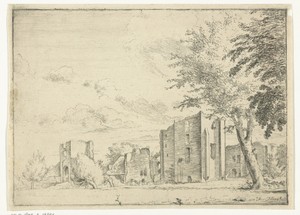 Ruïne van kasteel Brederode