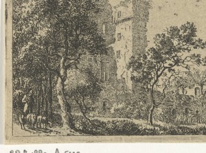 Ruïne van kasteel de Haar