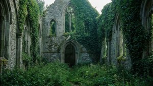 Ruined Ivy Church
