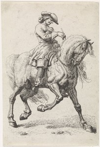 Ruiter laat zijn paard naar achter lopen