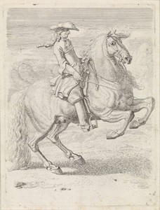 Ruiter laat zijn paard steigeren
