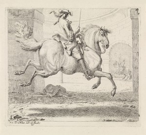 Ruiter met springend paard