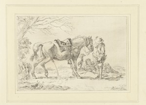 Ruiter naast pissend paard
