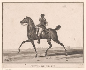 Ruiter te paard met jachthoorn
