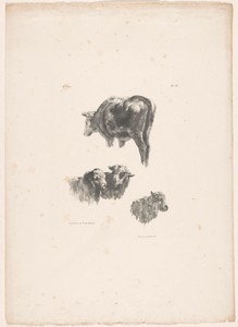 Rund, twee schapen en een ram