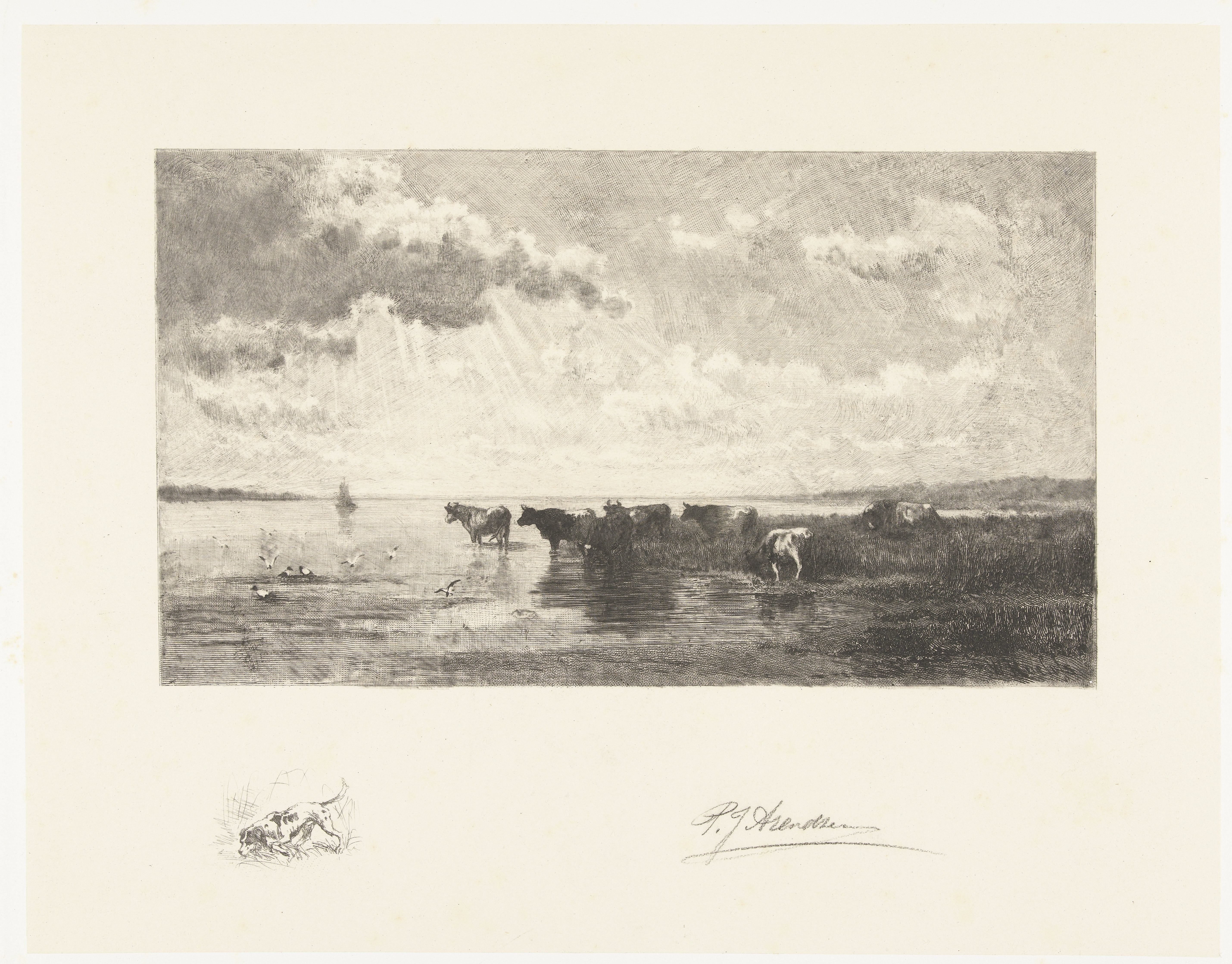 Runderen bij een plas by Petrus Johannes Arendzen