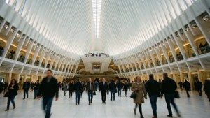 Rush Hour Oculus