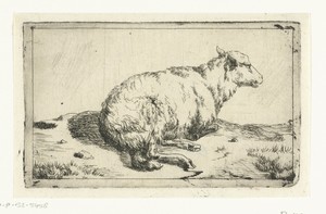 Rustend schaap