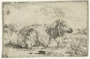 Rustend schaap, en profil