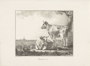Rustend vee