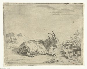 Rustende bok