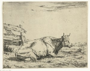 Rustende koe bij een hek