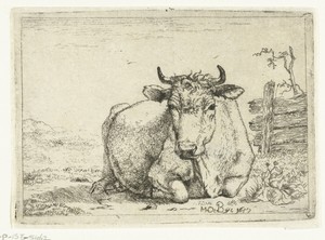 Rustende koe, bij hek