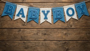 Rustic Banner