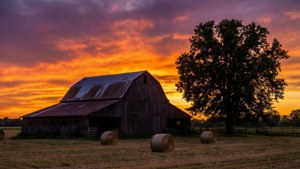 Rustic Barn Sunset