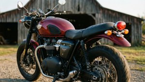 Rustic Bobber Detail