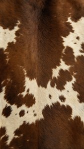 Rustic Brown Cowhide