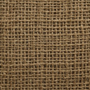 Rustic Burlap Canvas
