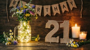 Rustic Farmhouse 21