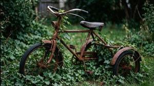Rustic Garden Relic