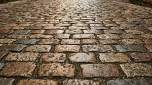 Rustic Granite Cobblestone Path