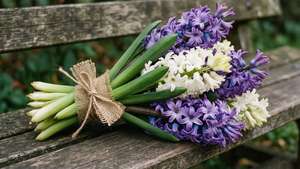Rustic Hyacinth Bouquet