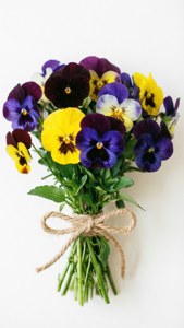 Rustic Pansy Bouquet