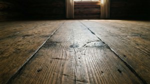 Rustic Pine Floor