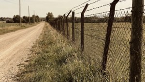 Rustic Road Fence