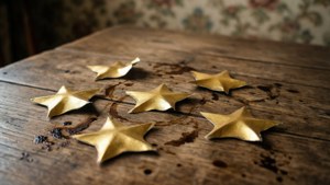 Rustic Star Stickers