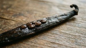 Rustic Vanilla Bean Close-up