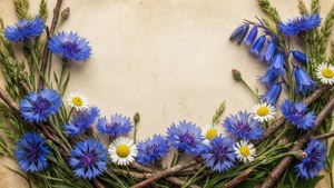 Rustic Wildflower Border