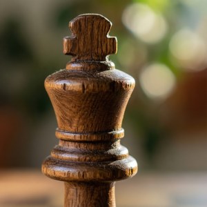 Rustic Wood Grain Queen