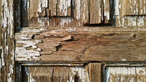 Rustic Wood Peeling