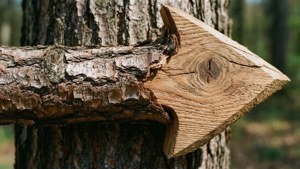 Rustic Wooden Arrow