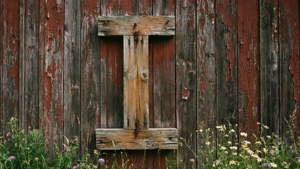 Rustic Wooden I