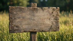 Rustic Wooden Sign in Meadow
