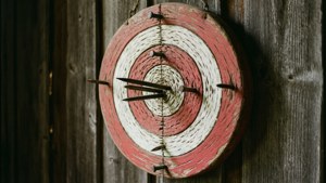Rustic Wooden Target