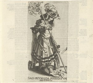 Saco Reinalda