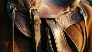 Saddle Detail Macro