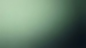 Sage Green Gradient